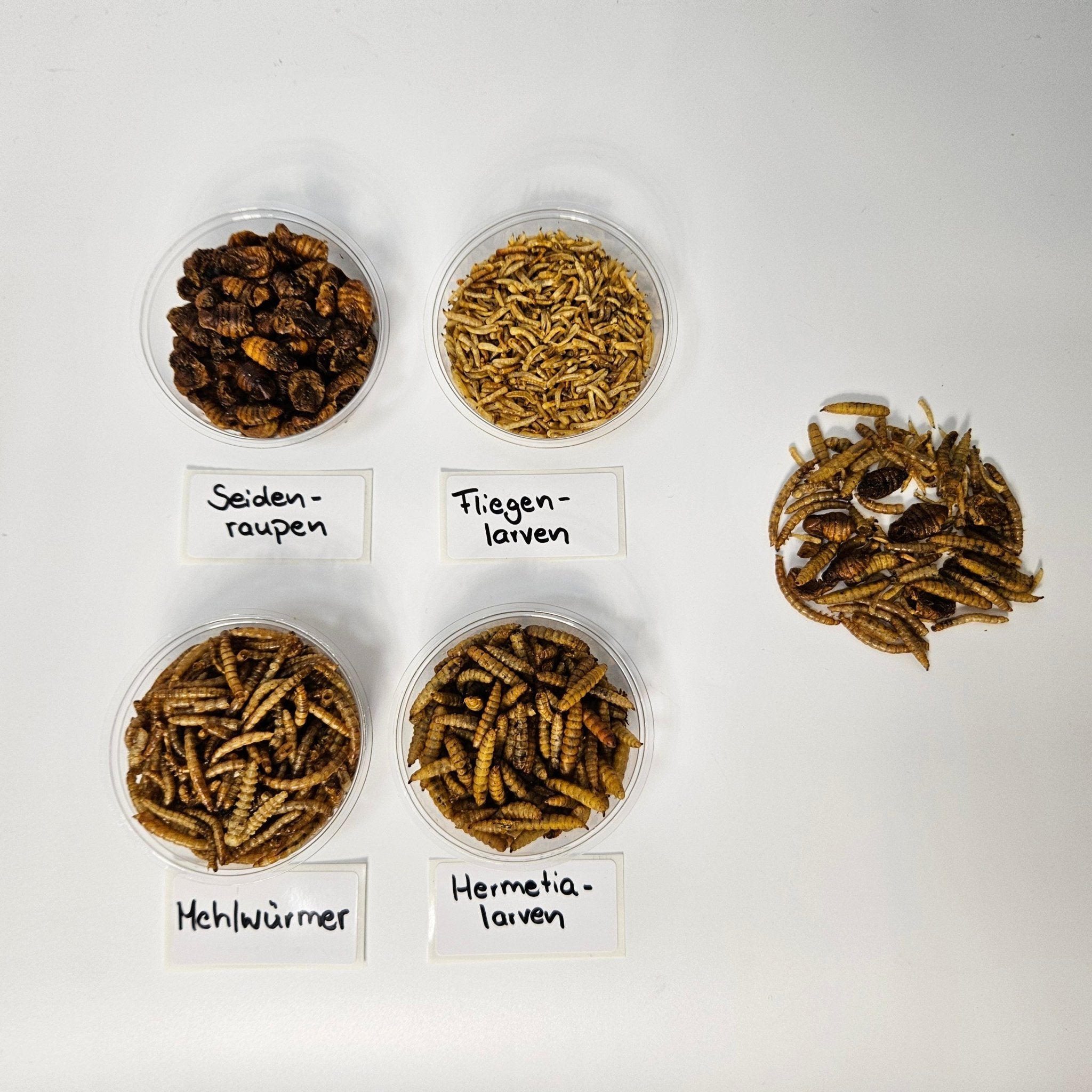 PREMIUM Insektenmischung getrocknet NEU für Wildvögel, Geflügel, Fische, Reptilien & Kleinsäuger - Kallisbest