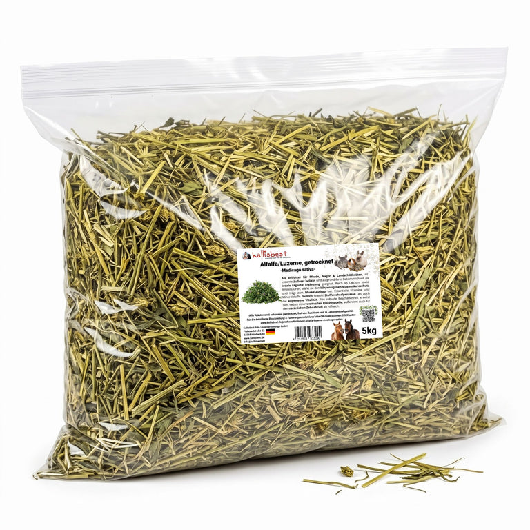 Alfalfa Luzerne getrocknet – Naturkraut für Pferde, Kaninchen & Schildkröten | Kallisbest