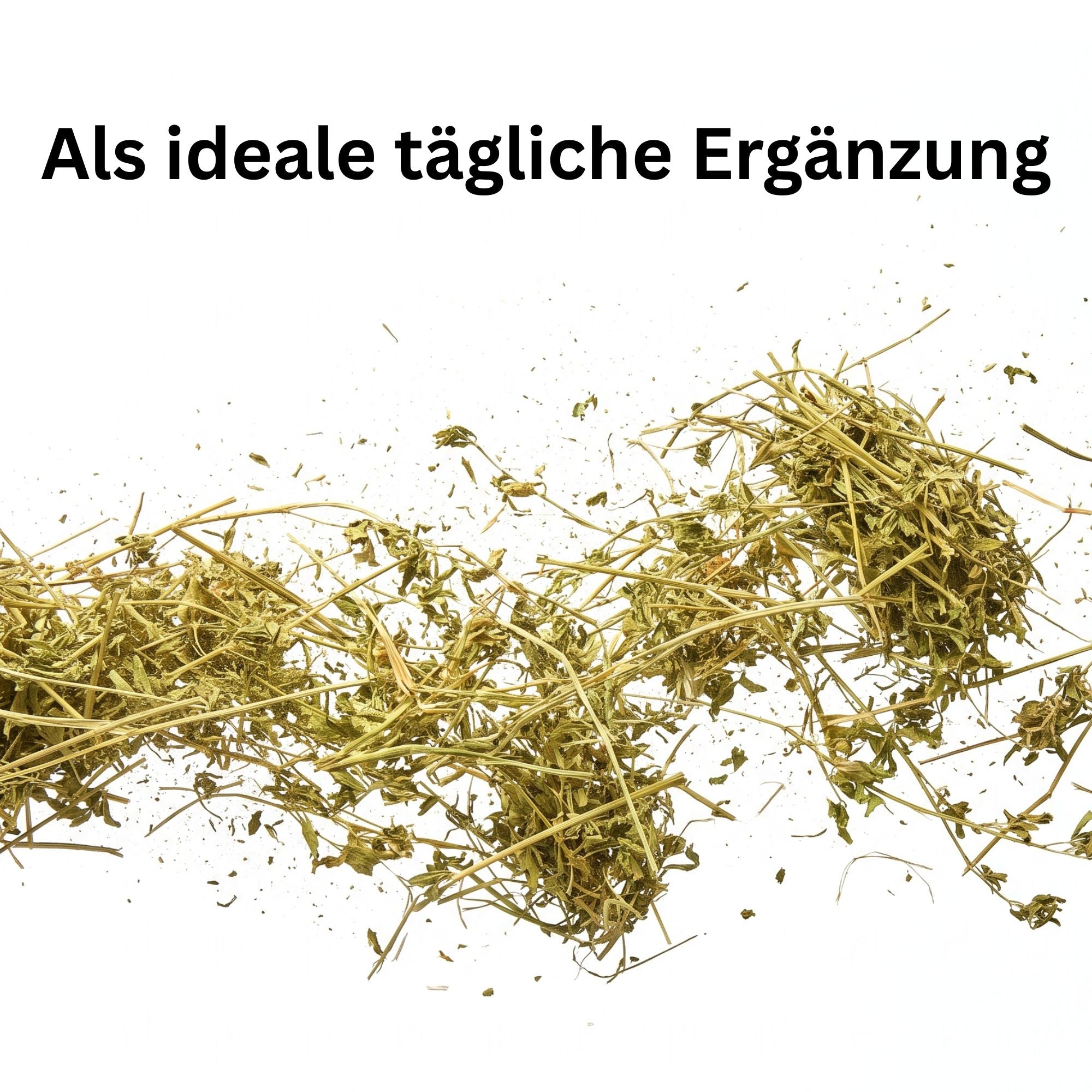 Alfalfa Luzerne getrocknet – Naturkraut für Pferde, Kaninchen & Schildkröten | Kallisbest