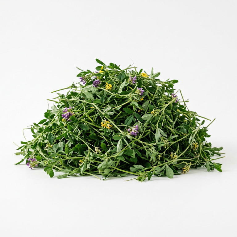 Alfalfa Luzerne getrocknet – Naturkraut für Pferde, Kaninchen & Schildkröten | Kallisbest