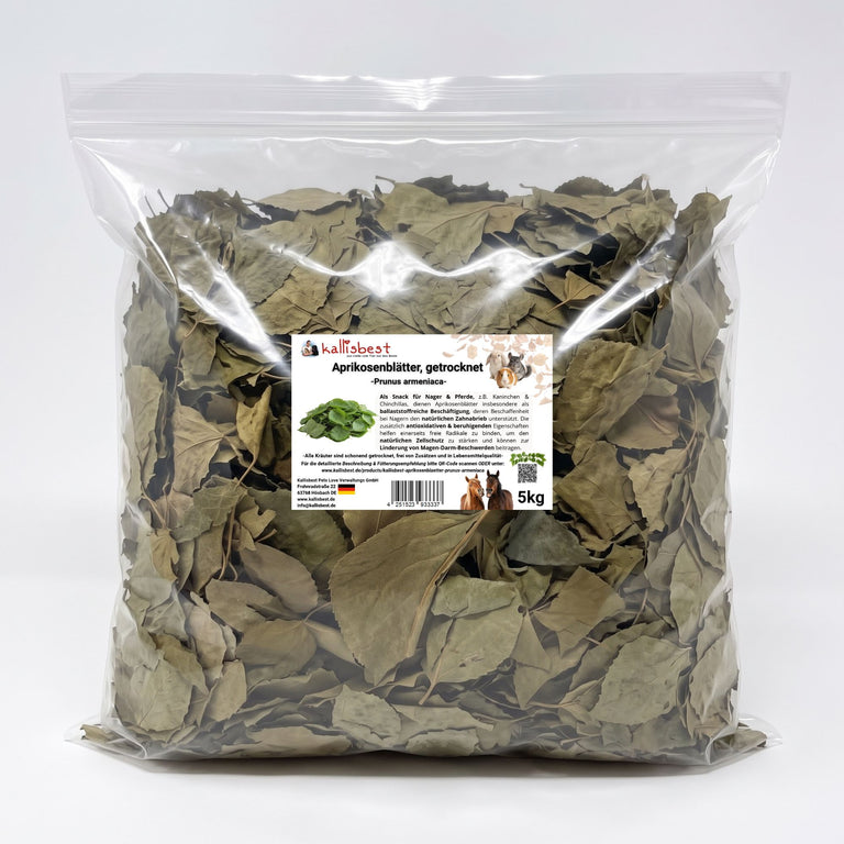 Aprikosenblätter getrocknet – Naturkraut für Kaninchen, Meerschweinchen & Pferde | Kallisbest