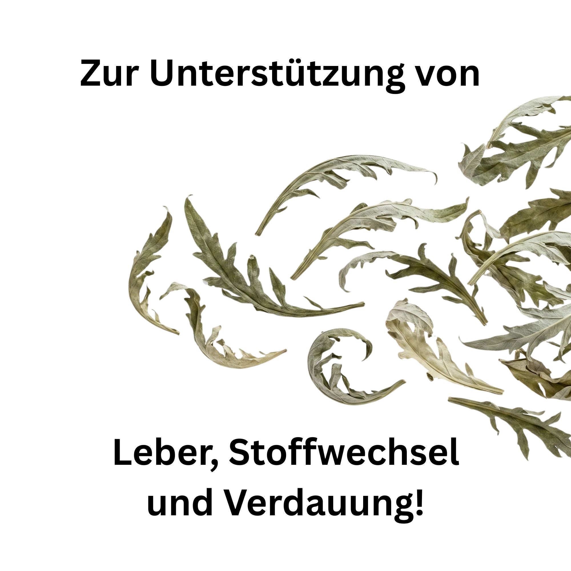 Artischockenblätter geschnitten getrocknet – Leberkraut für Pferde, Kaninchen & Meerschweinchen | Kallisbest