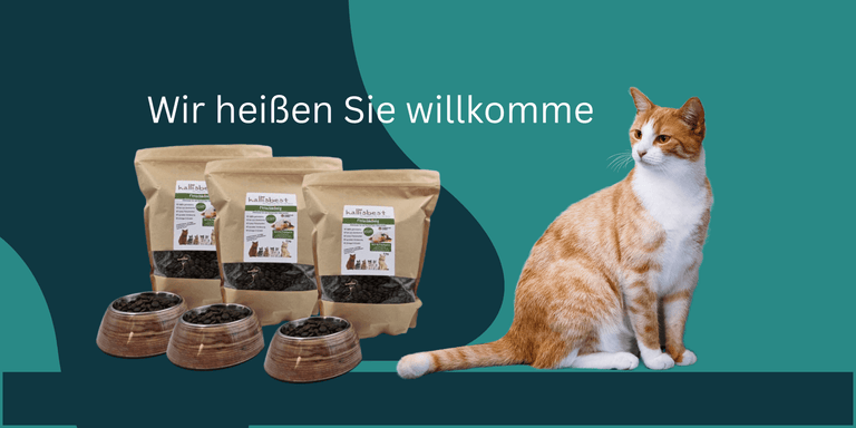 17 Kauartikel gemischt - LIMITED EDITION - Kallisbest