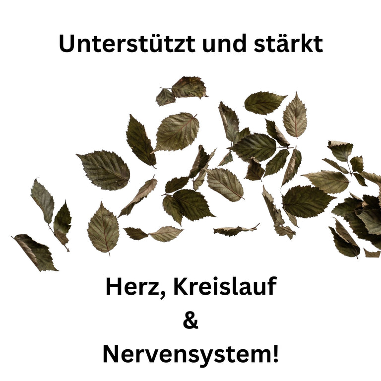 Brombeerblätter getrocknet – Naturkraut für Kaninchen Meerschweinchen Schildkröten | Kallisbest