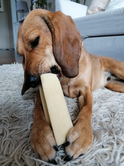 Himalaya Yak Kaukäse für Hunde, 3 Stück gepackt, in verschiedenen Größen von XS - GIANT - Kallisbest