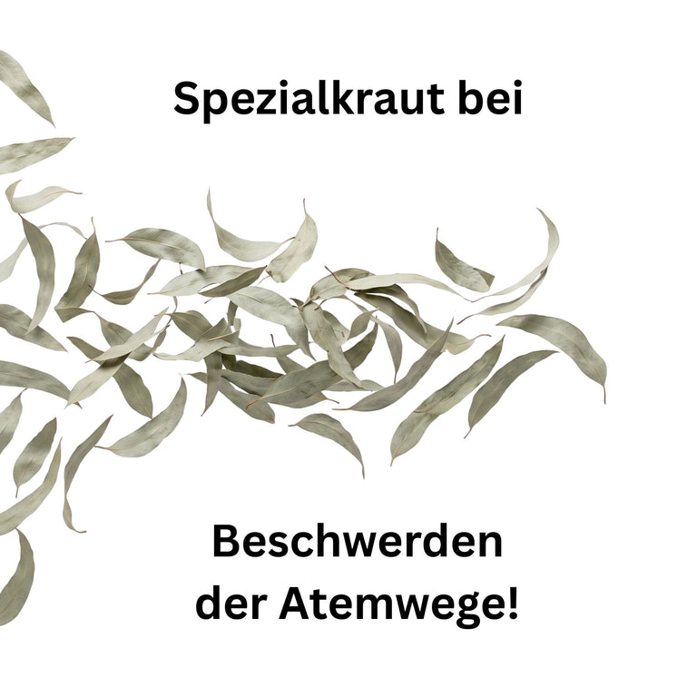 Eukalyptusblätter geschnitten getrocknet – Atemwegskraut für Pferde & Kaninchen | Kallisbest