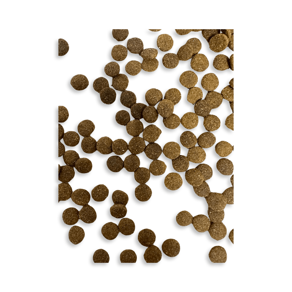 Fleischmenü mittlere Kroketten für Hunde aller Rassen & Altersstufen - Kallisbest