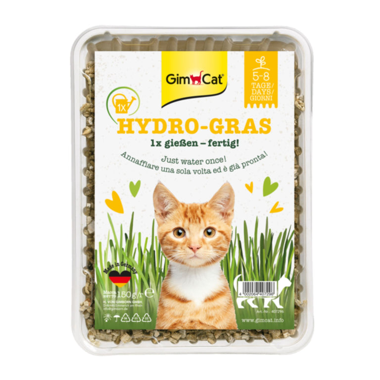 GimCat Hydro-Gras Katzengras mit Hydro-Körnchen, 150 g