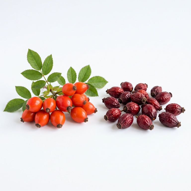 Bio-Hagebutten – Natürliches Leckerli für Pferde, Ziegen & Nager