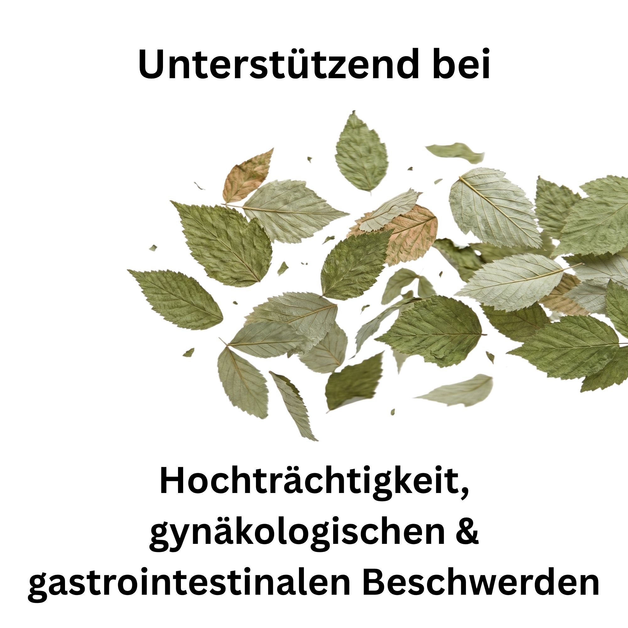 Himbeerblätter getrocknet – Naturkraut für Kaninchen, Meerschweinchen & Pferde | Kallisbest