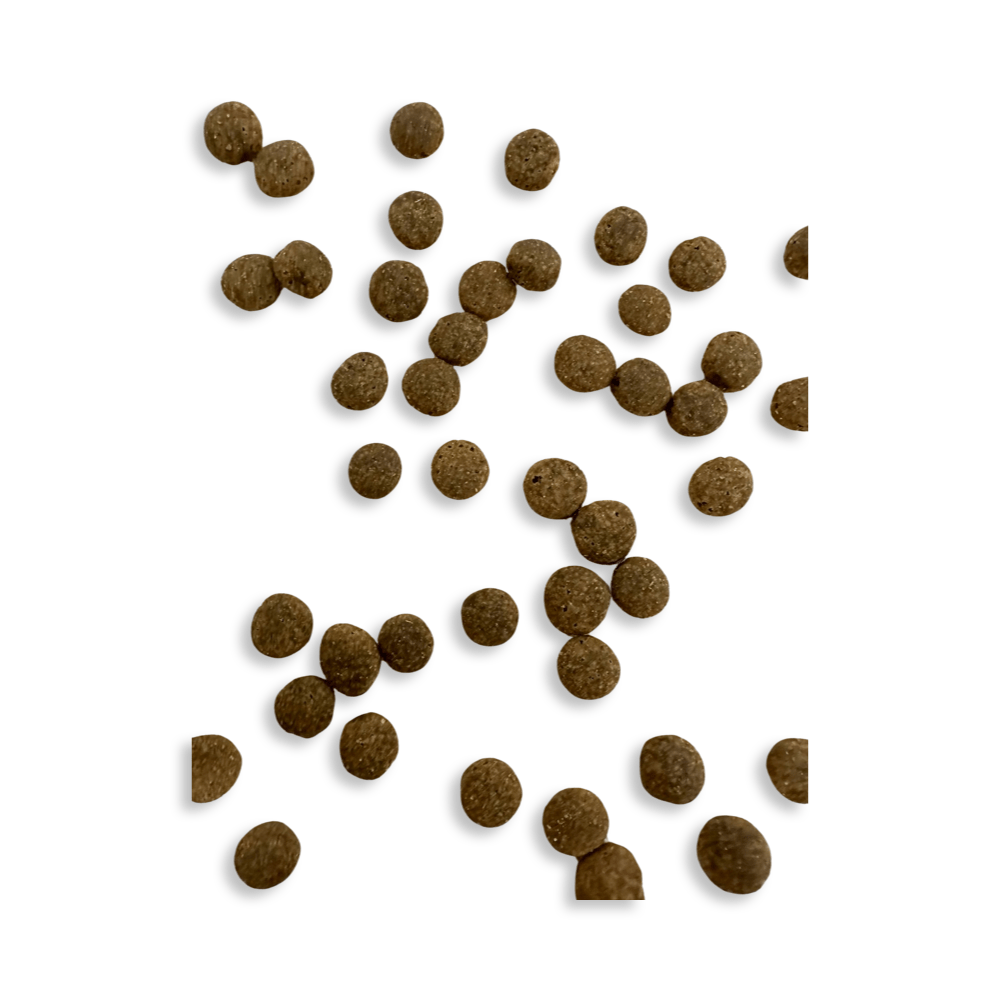 Kallisbest Huhn mit Reis Medium Kroketten, Trockenfutter für Hunde in einer Schüssel, mit appetitlichen Kroketten sichtbar.