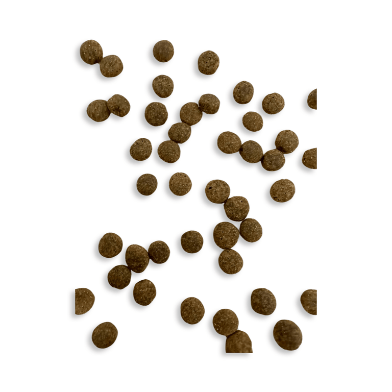 Huhn mit Reis Medium Kroketten - Kallisbest