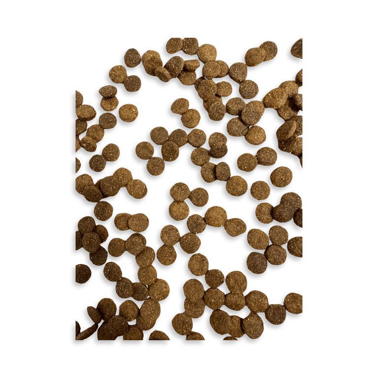 Lamm & Huhn mit Kartoffel für Welpen & Junior - Kallisbest