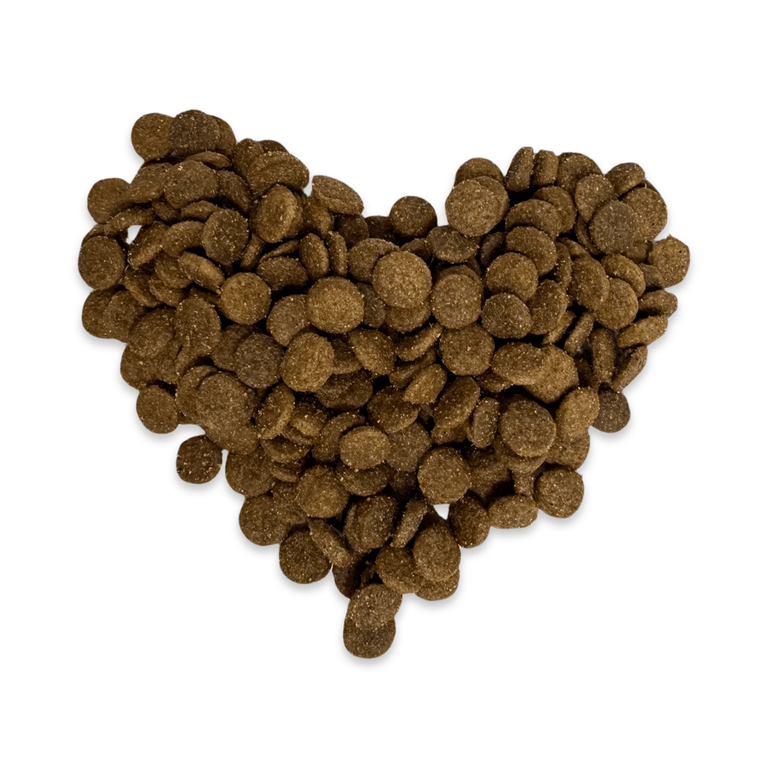 Lamm & Huhn mit Kartoffel für Welpen & Junior - Kallisbest