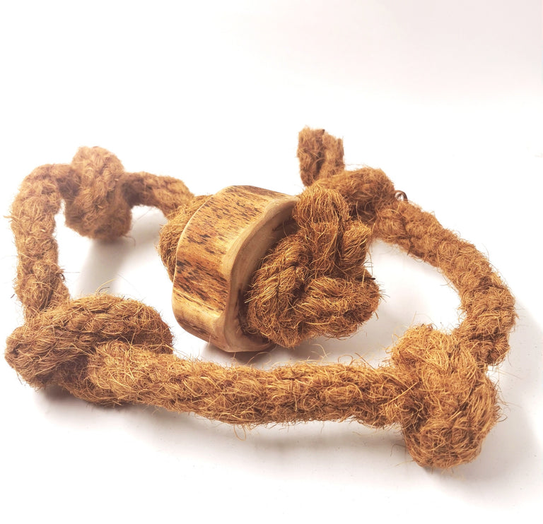 Kokosseil für Hunde Größe S - XL mit & ohne Kaffeeholz - Kallisbest