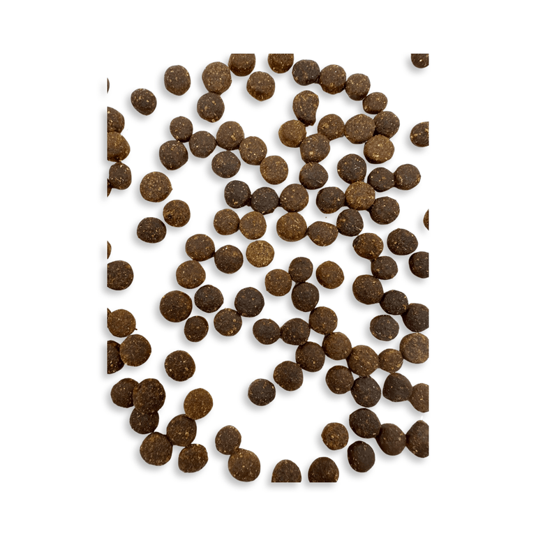 Truthahn mit Kartoffel für Welpen - Kallisbest