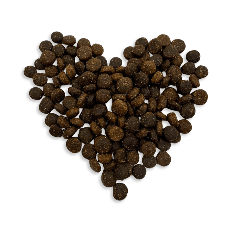 Truthahn mit Kartoffel für Welpen - Kallisbest