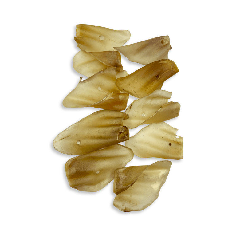 Rinderohren S - L - XL mit und ohne Fleischmuschel aus Deutschland - Kallisbest