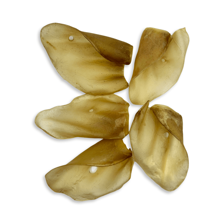 Rinderohren S - L - XL mit und ohne Fleischmuschel aus Deutschland - Kallisbest