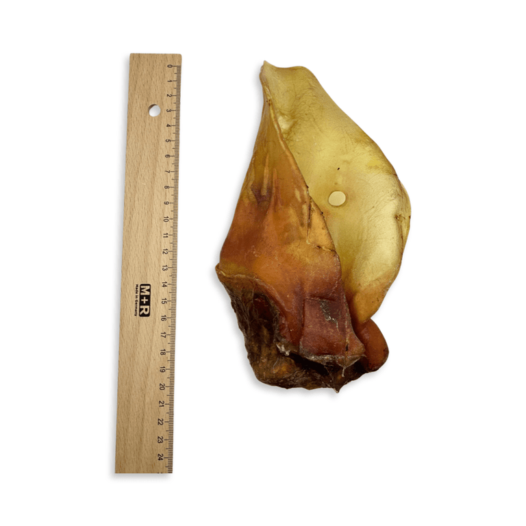 Rinderohren S - L - XL mit und ohne Fleischmuschel aus Deutschland - Kallisbest