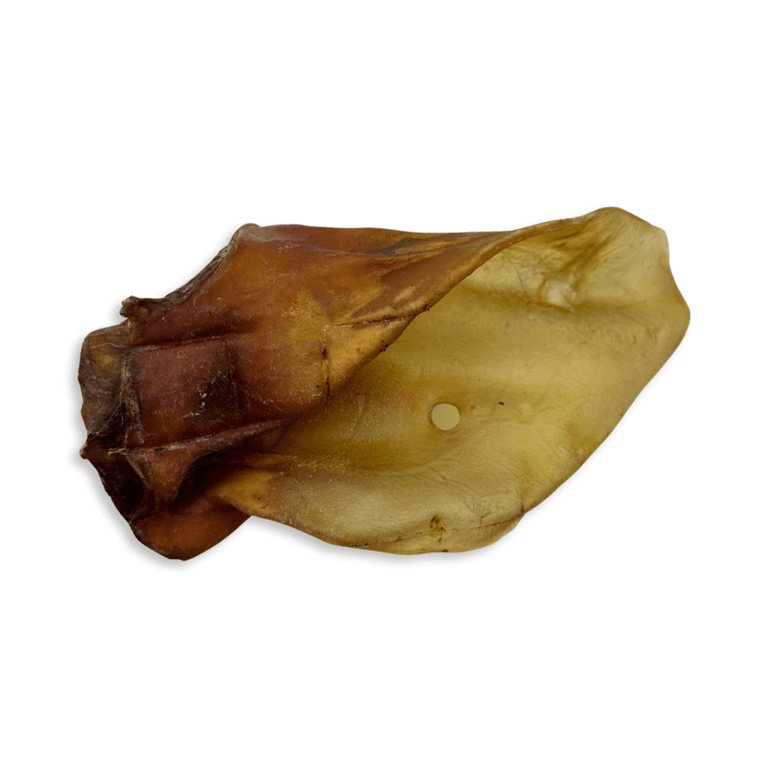 Rinderohren S - L - XL mit und ohne Fleischmuschel aus Deutschland - Kallisbest