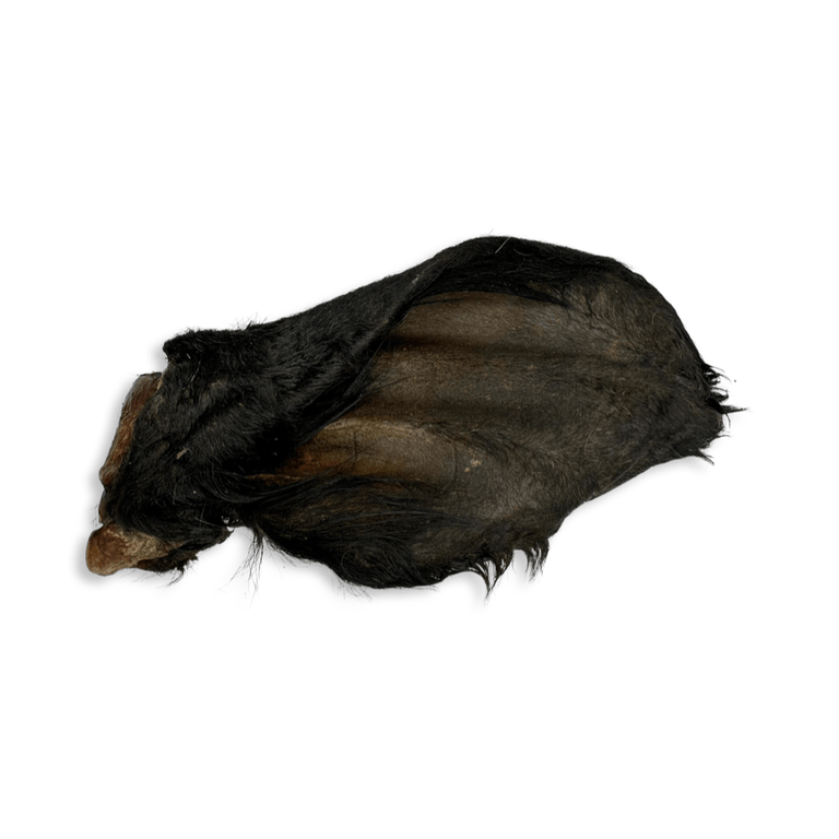 Rinderohren S - L - XL mit und ohne Fleischmuschel aus Deutschland - Kallisbest