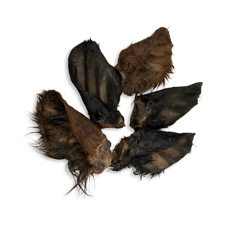 Rinderohren S - L - XL mit und ohne Fleischmuschel aus Deutschland - Kallisbest