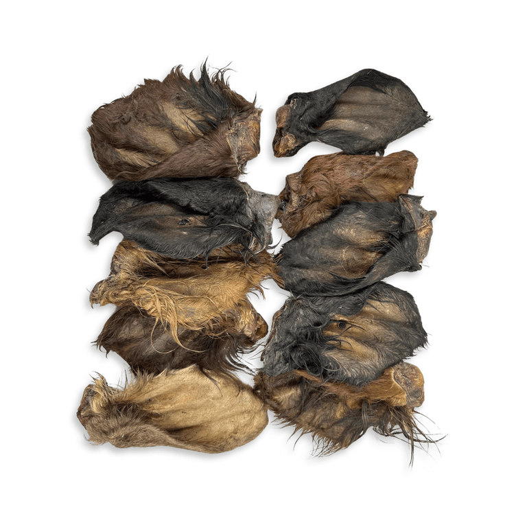 Rinderohren S - L - XL mit und ohne Fleischmuschel aus Deutschland - Kallisbest