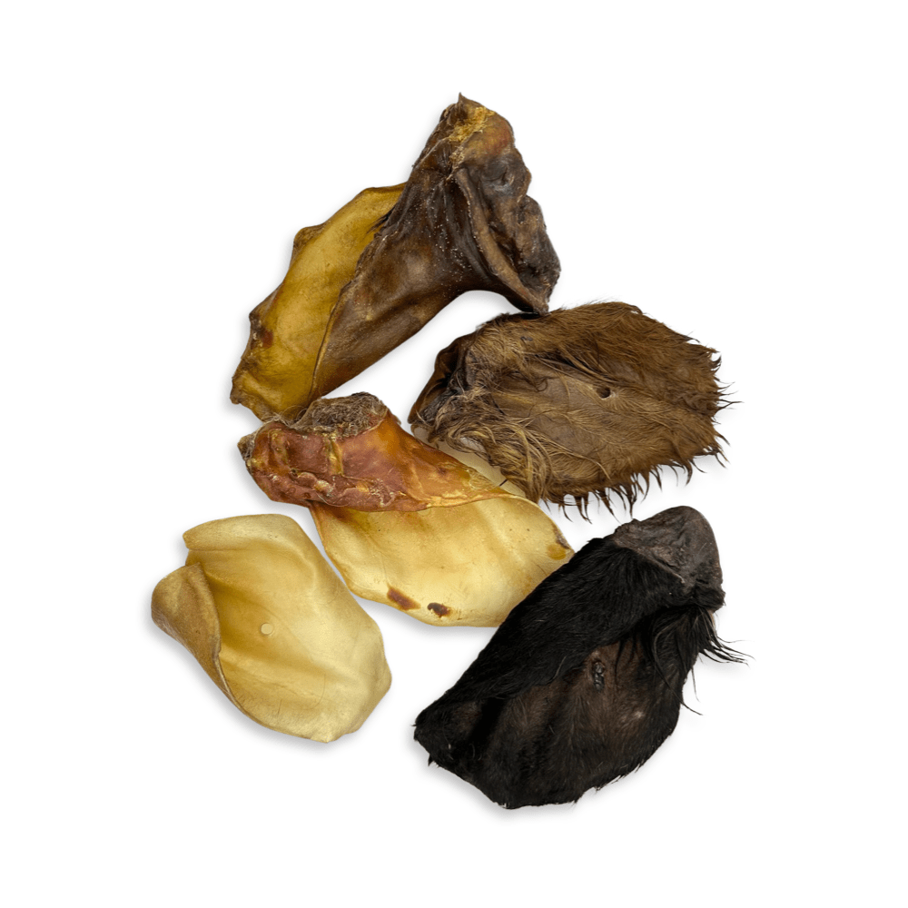 Rinderohren S - L - XL mit und ohne Fleischmuschel aus Deutschland - Kallisbest