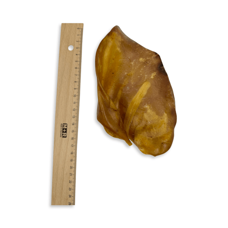 Schweineohren kleine und Große ab 2 Stück - 10 Stück , Made in Germany - Kallisbest