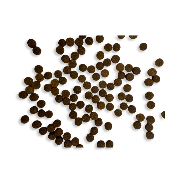 Fleischmenü kleine Kroketten auch für Kitten - Kallisbest