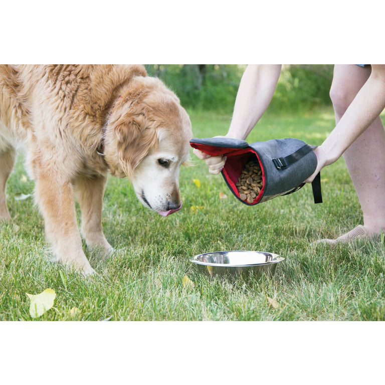 KONG Travel Kibble Storage Bag – Faltbare Trockenfutter-Reisetasche für Hunde, 2,6 l