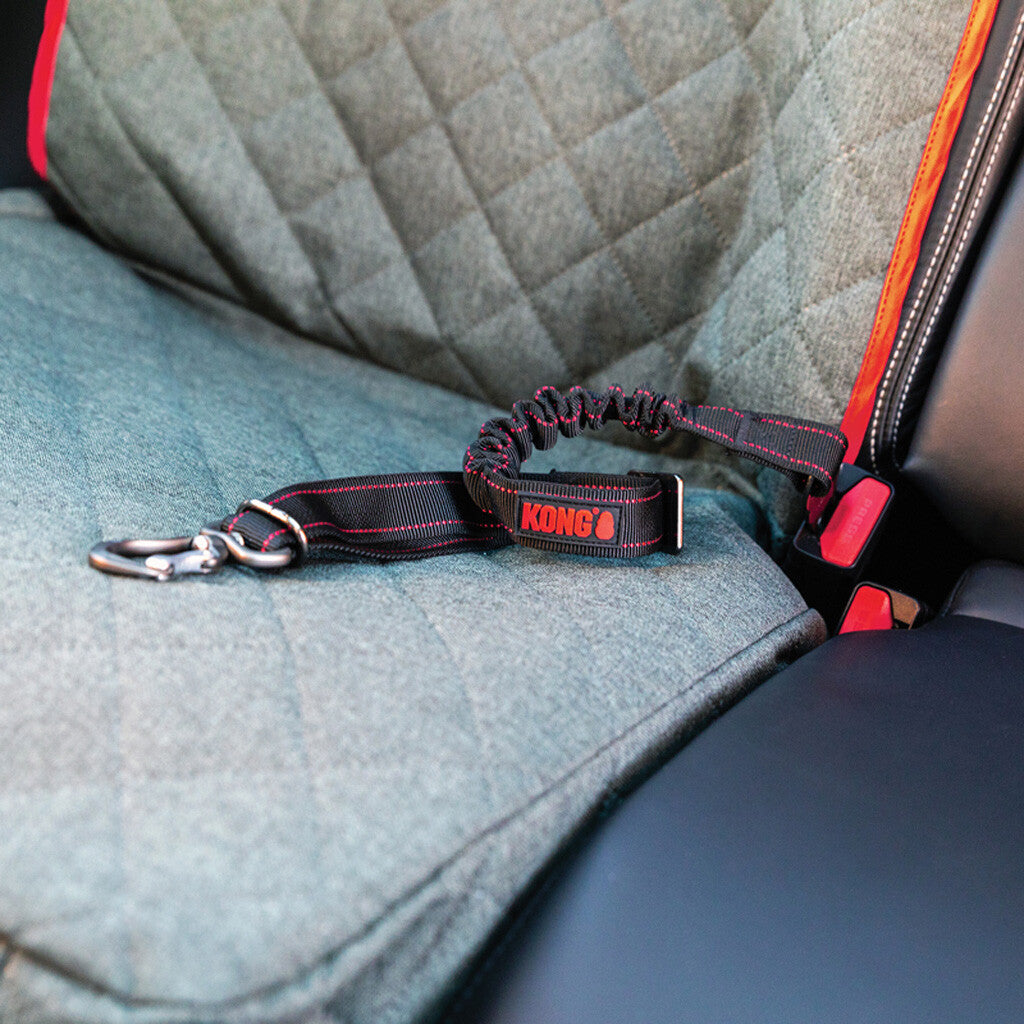 KONG Travel Cargo Swivel Tether – Auto-Sicherheitsgurt für Hunde mit Drehkarabiner