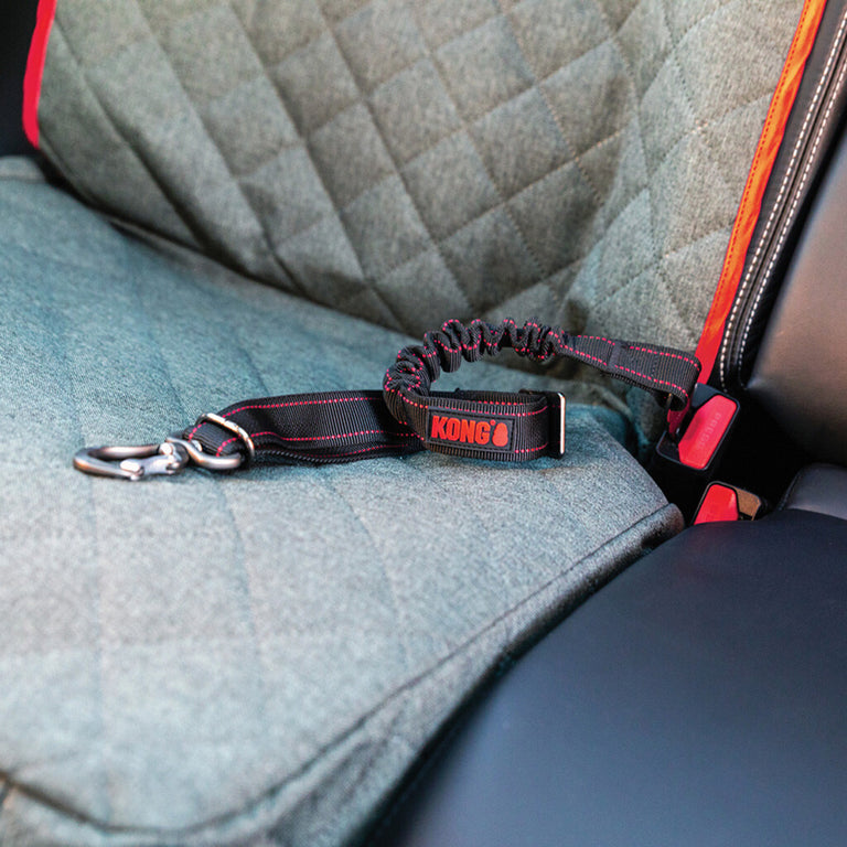 KONG Travel Cargo Swivel Tether – Auto-Sicherheitsgurt für Hunde mit Drehkarabiner