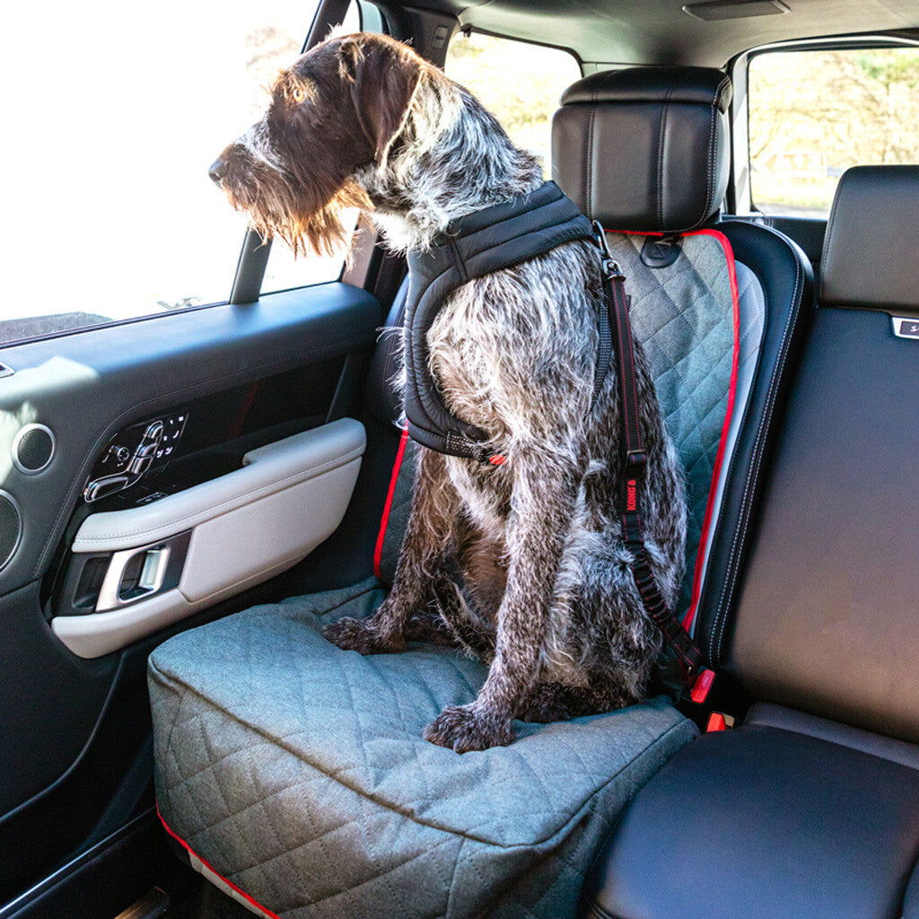 KONG Travel Cargo Swivel Tether – Auto-Sicherheitsgurt für Hunde mit Drehkarabiner