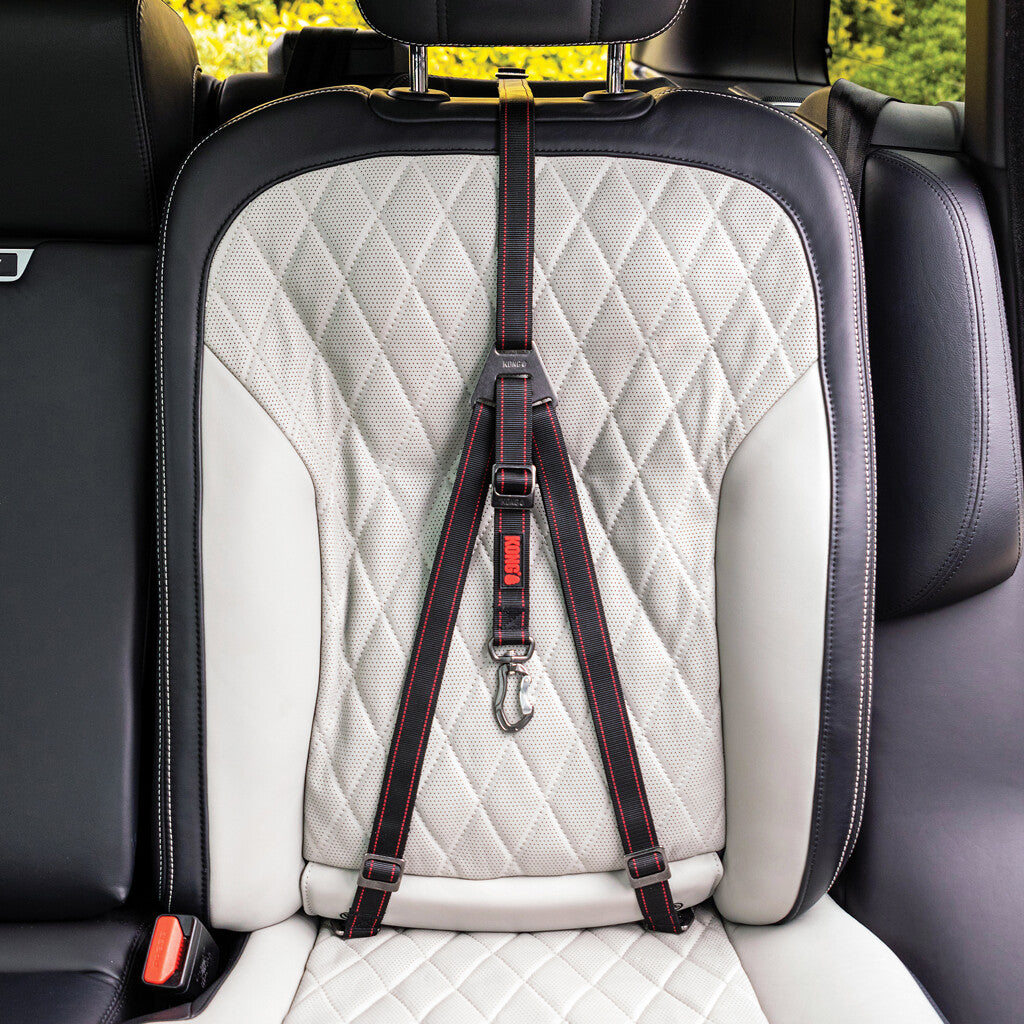 KONG Ultimate Safety Tether – Hundeautogurt mit 3-Punkt-LATCH/IsoFix-Verankerung