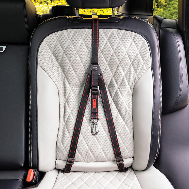 KONG Ultimate Safety Tether – Hundeautogurt mit 3-Punkt-LATCH/IsoFix-Verankerung