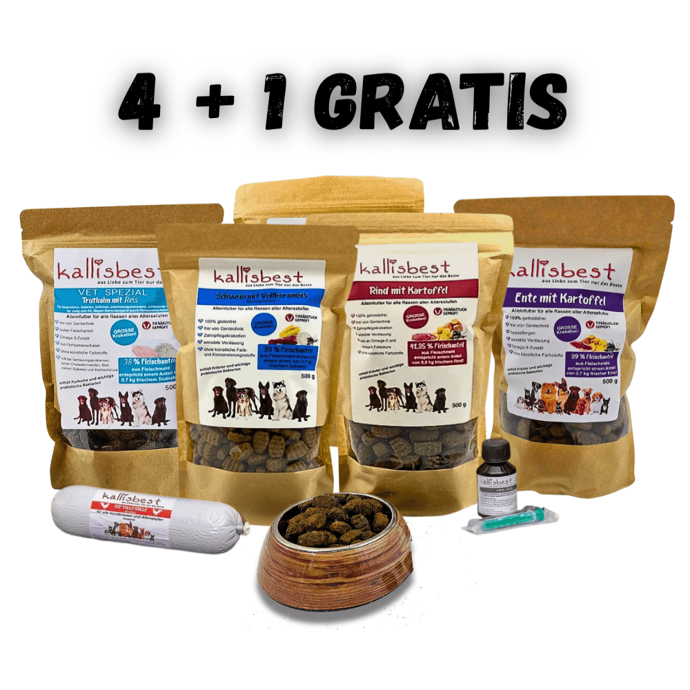 Probierpaket Hund große Kroketten/ Zahnpflegekroketten 4 + 1 Gratis á 500g + 200g 