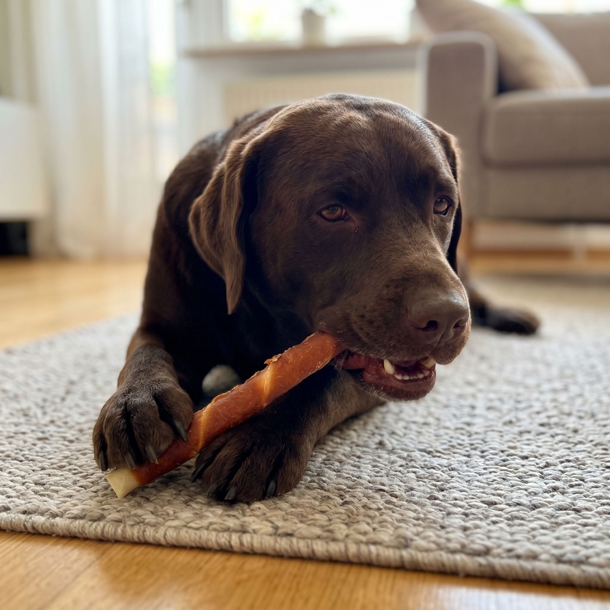 Chewing sticks in chicken meat coating MAXI 300g
