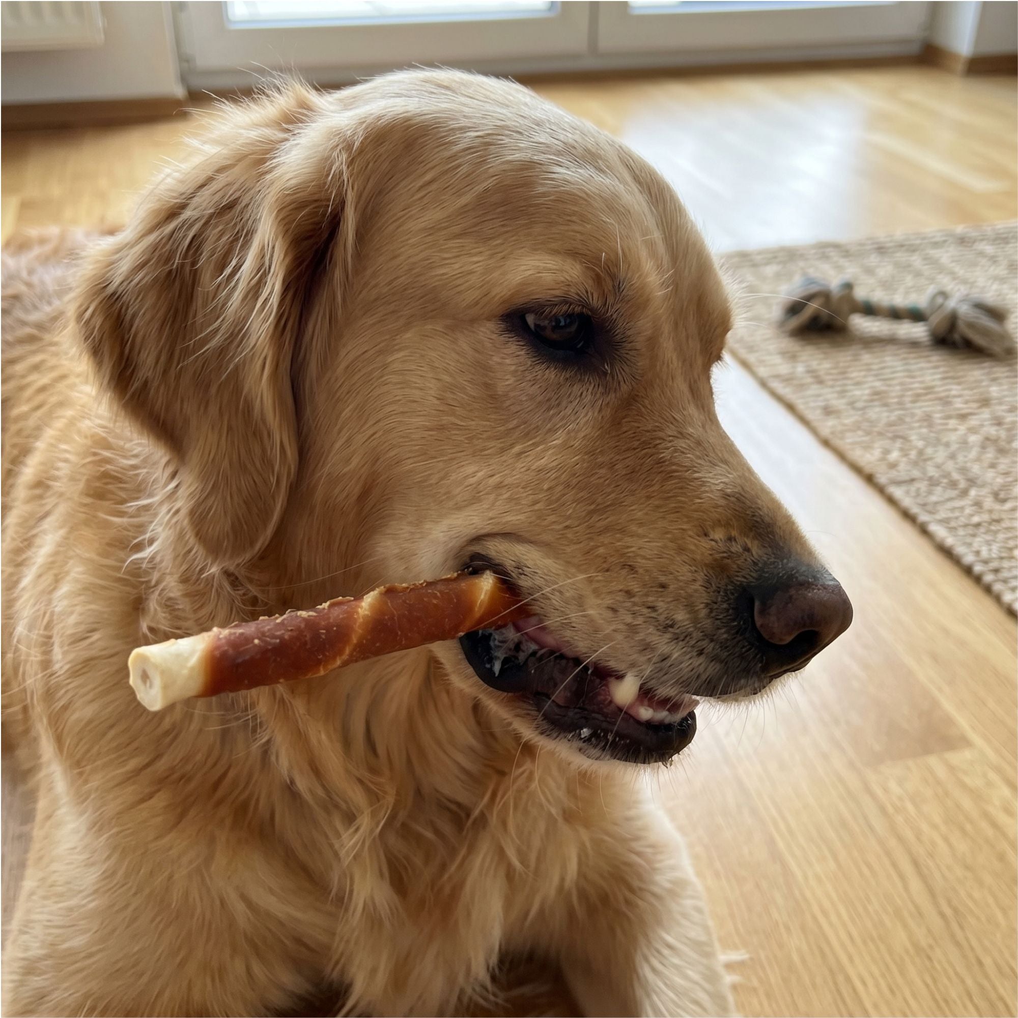 Chewing sticks in chicken meat coating MAXI 300g
