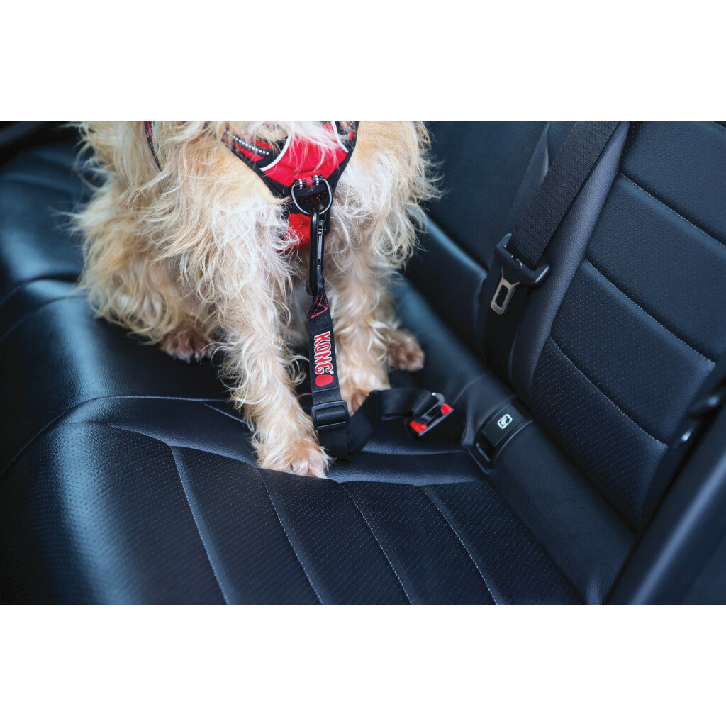 KONG Seat Belt Tether – Auto-Sicherheitsgurt für Hunde, einstellbar bis 56 cm