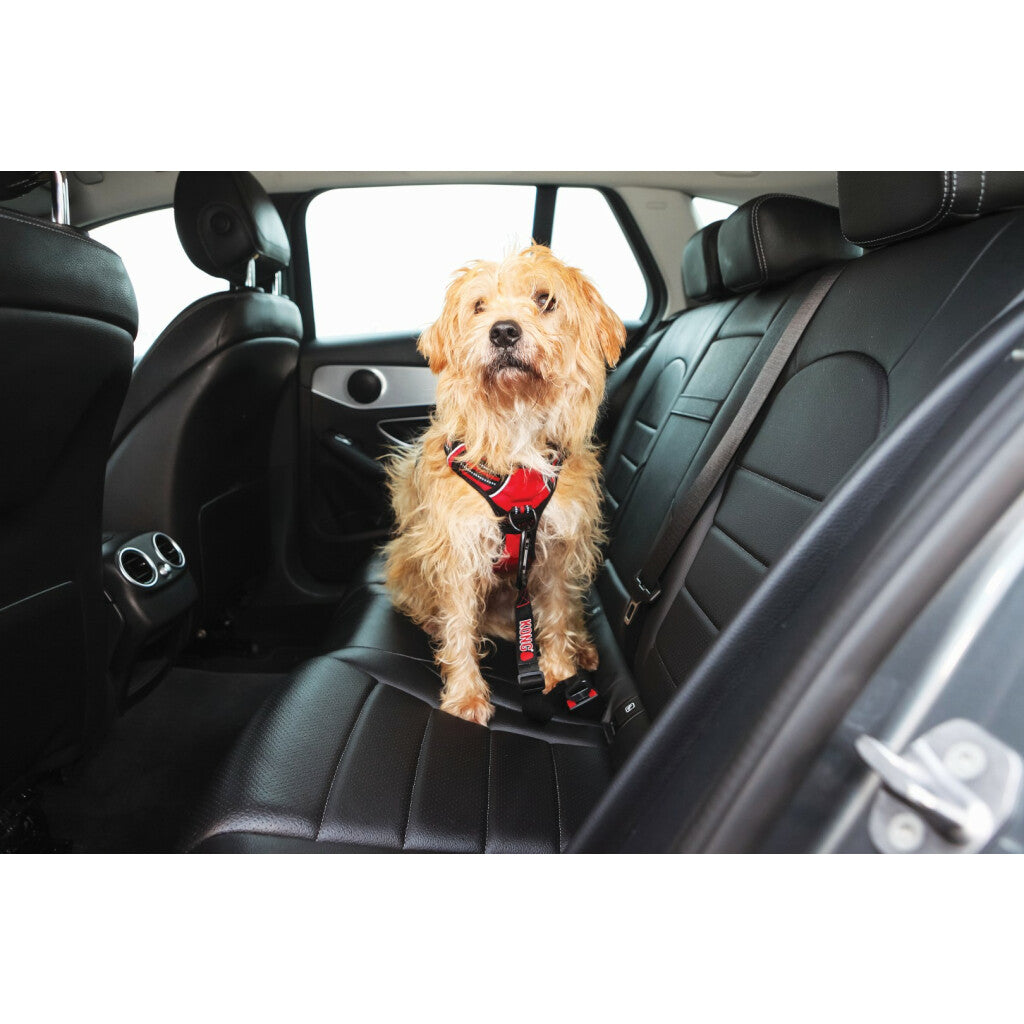 KONG Seat Belt Tether – Auto-Sicherheitsgurt für Hunde, einstellbar bis 56 cm
