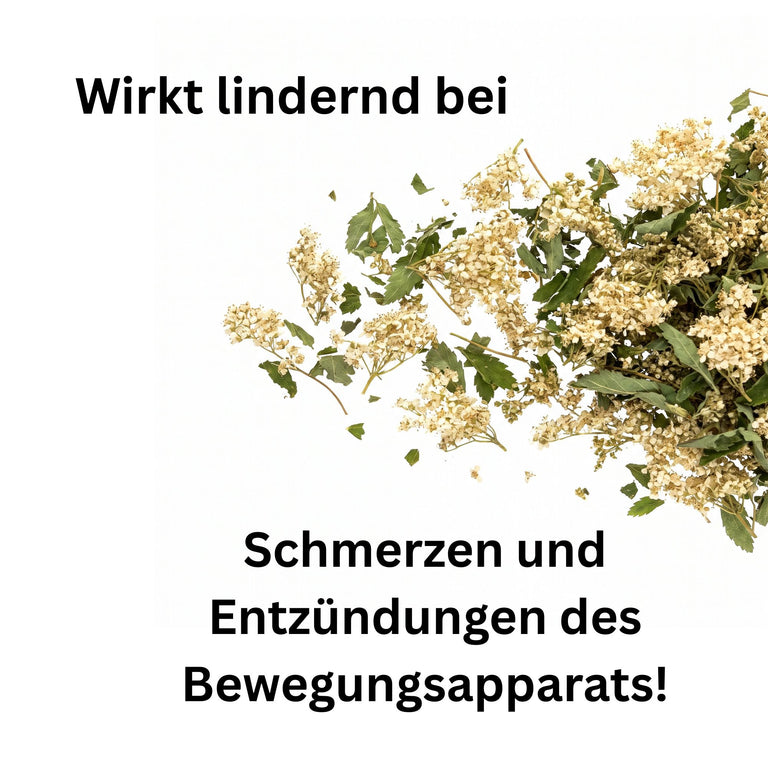 Mädesüßkraut geschnitten getrocknet – Gelenkkraut für Pferde & Kaninchen | Kallisbest