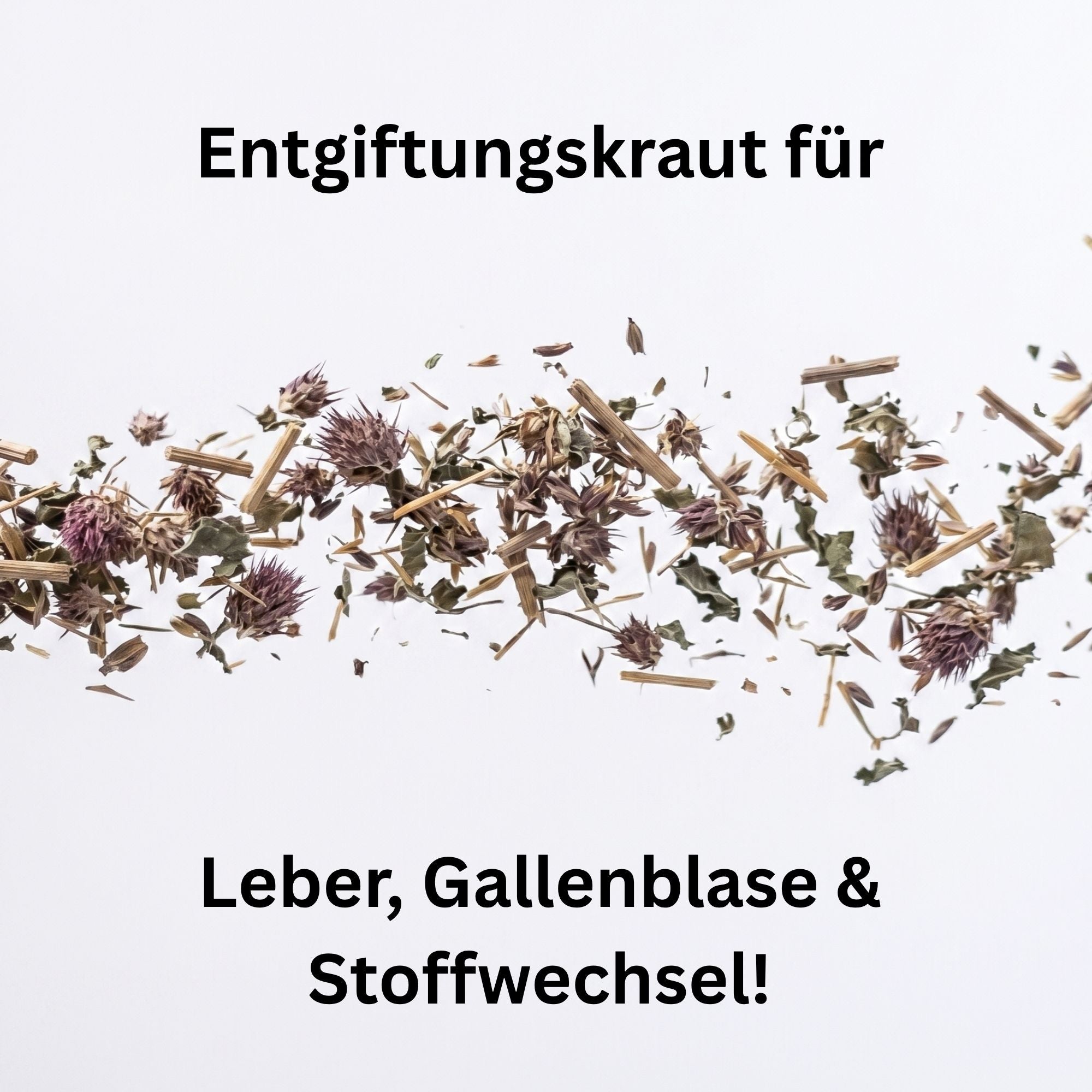 Mariendistel getrocknet – Leberschutz für Pferde & Nager | Kallisbest