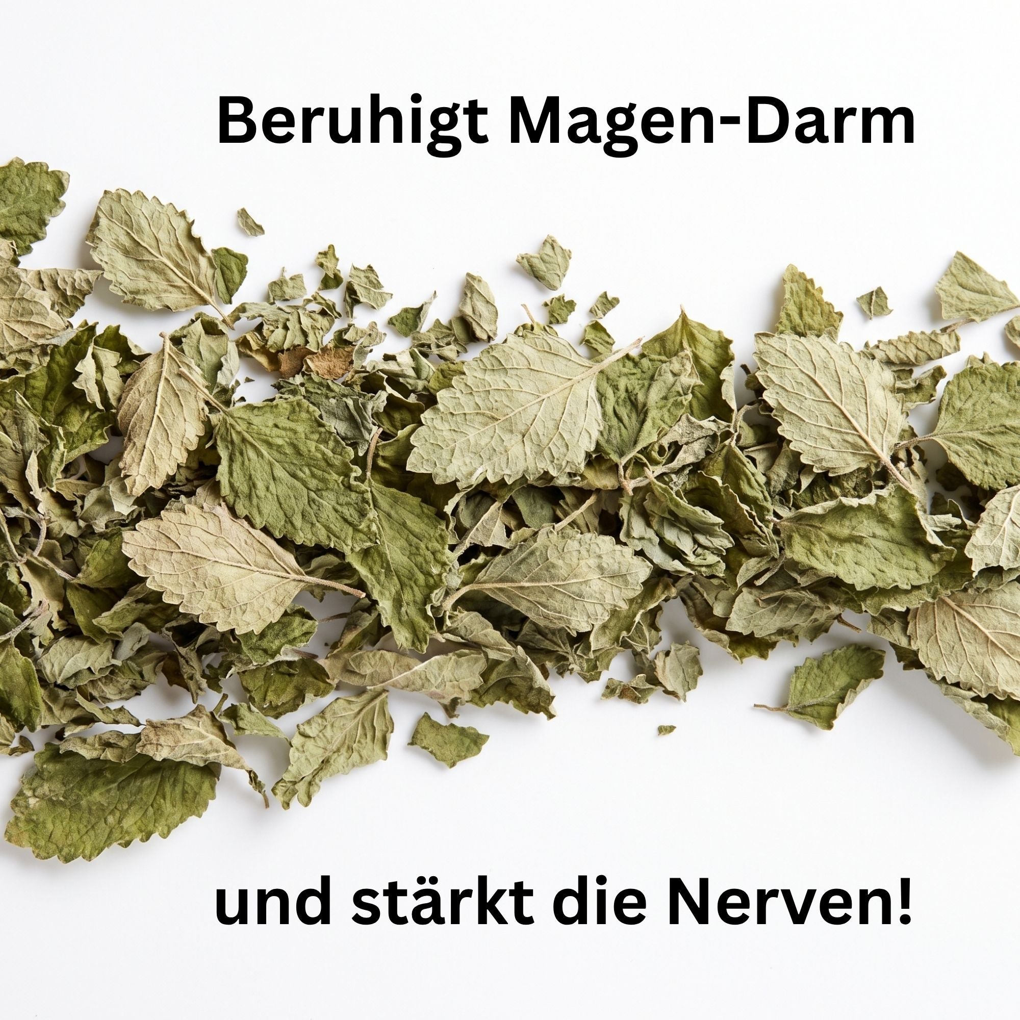 Melisse getrocknet – Beruhigungskraut für Pferde & Nager | Kallisbest