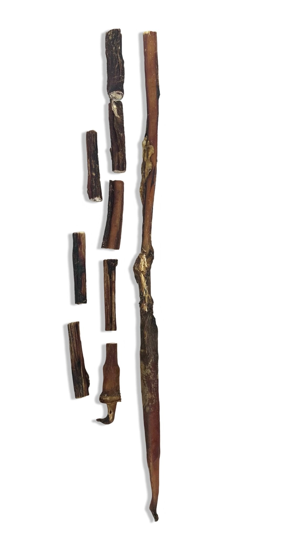 Ochsenziemer ab 12 cm Stücke bis 110cm lange ganze Ziemer mit Fleisch - Kallisbest