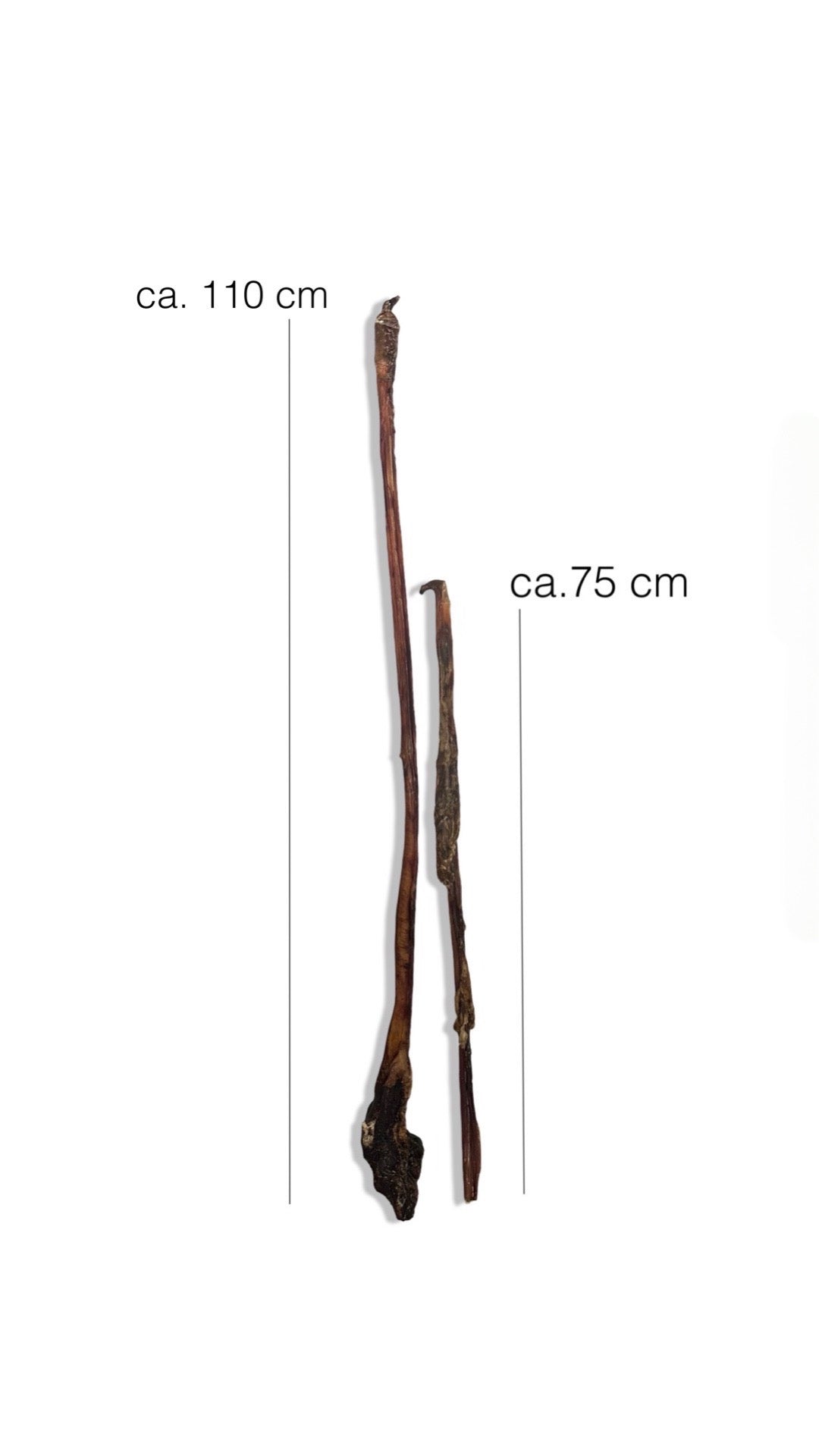 Ochsenziemer ab 12 cm Stücke bis 110cm lange ganze Ziemer mit Fleisch - Kallisbest