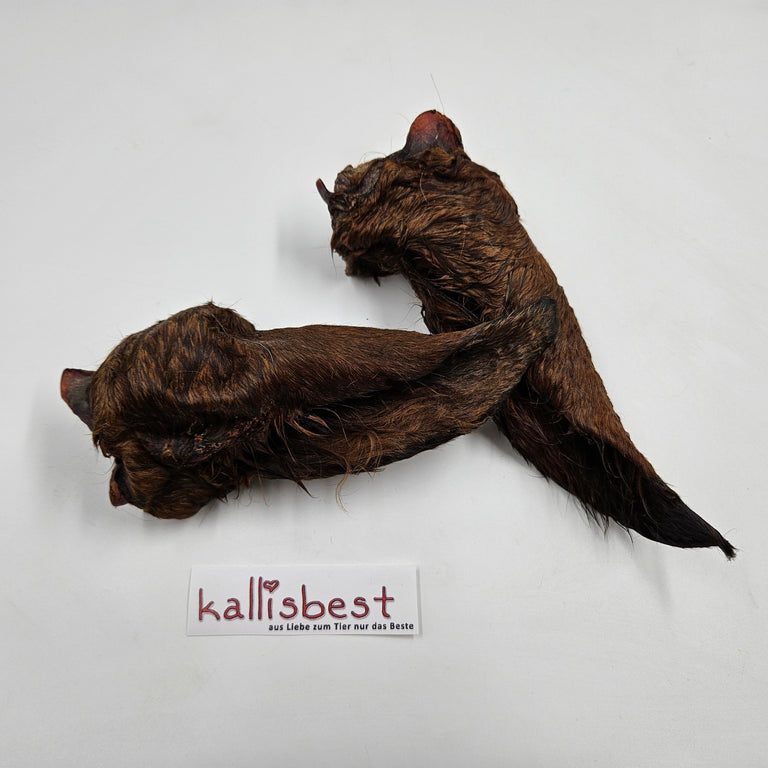 Pferdeohren mit Fell schonend getrocknet im Ofen aus Deutschland - Kallisbest