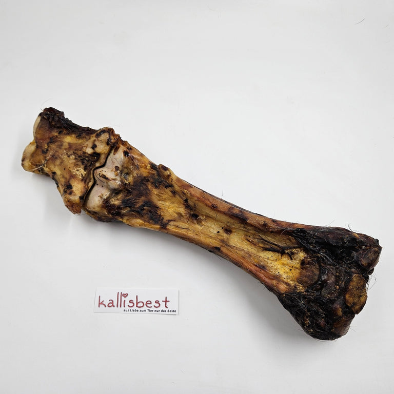 Pferdeknochen im Ofen getrocknet - Kallisbest