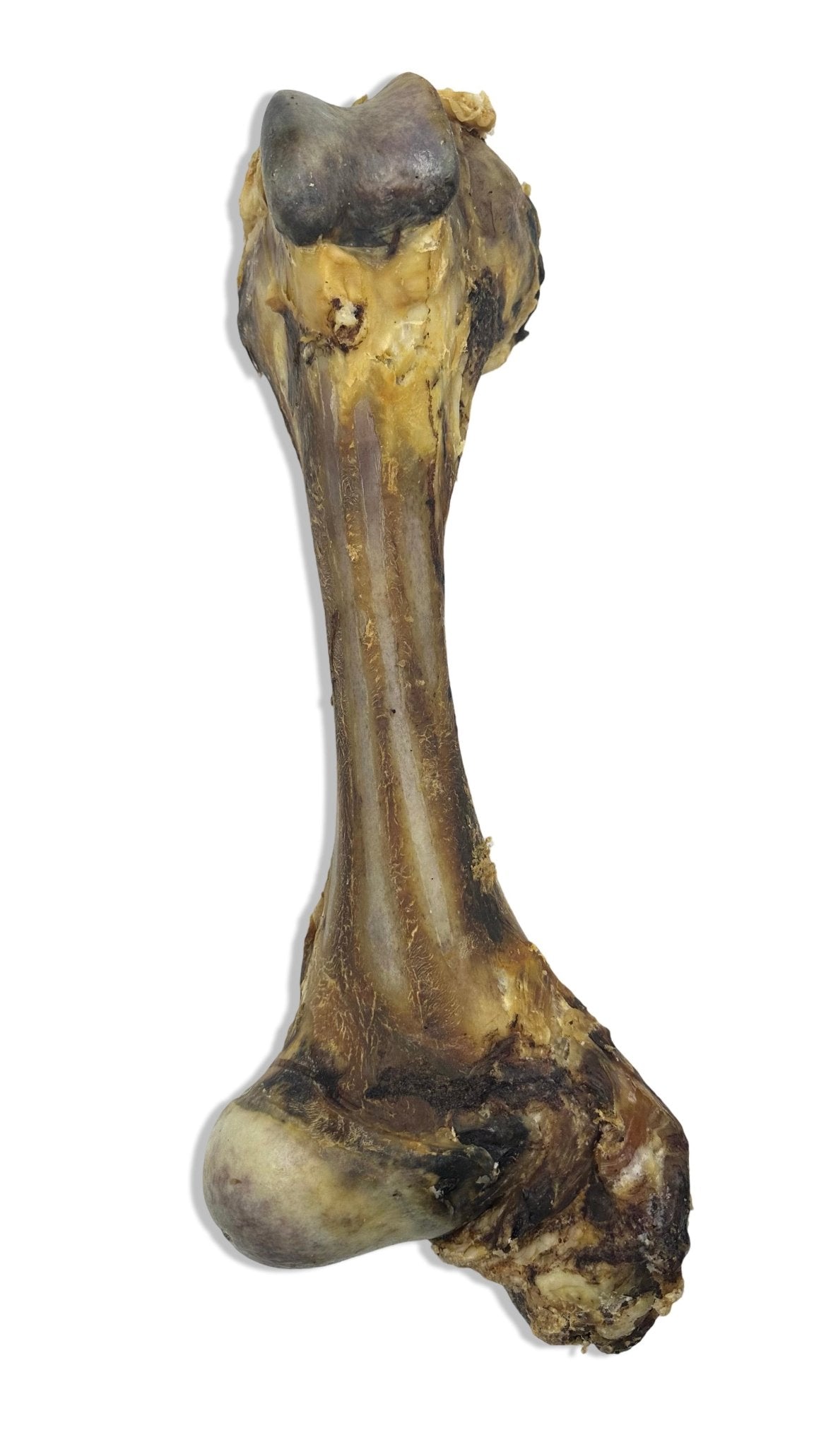 Rinderknochen Jumbo 35 & 45 cm - Kallisbest